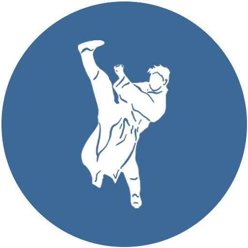 Programma Taiji - Scuola di arti marziali Drago Azzurro a Noventa Padovana, Padova, e a Borbiago di Mira, Mestre Venezia, corsi di Tai Chi, Baji e QiGong (ginnastica del benessere).