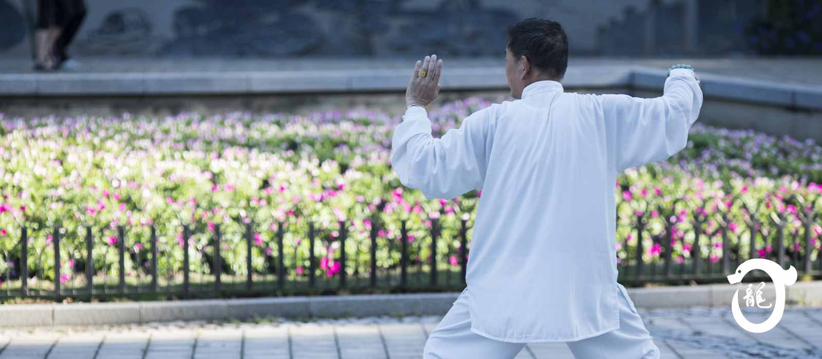 Taiji Quan - A Noventa Padovana, Padova, e a Borbiago di Mira, Mestre Venezia, corsi di Tai Chi, Baji e QiGong (ginnastica del benessere).