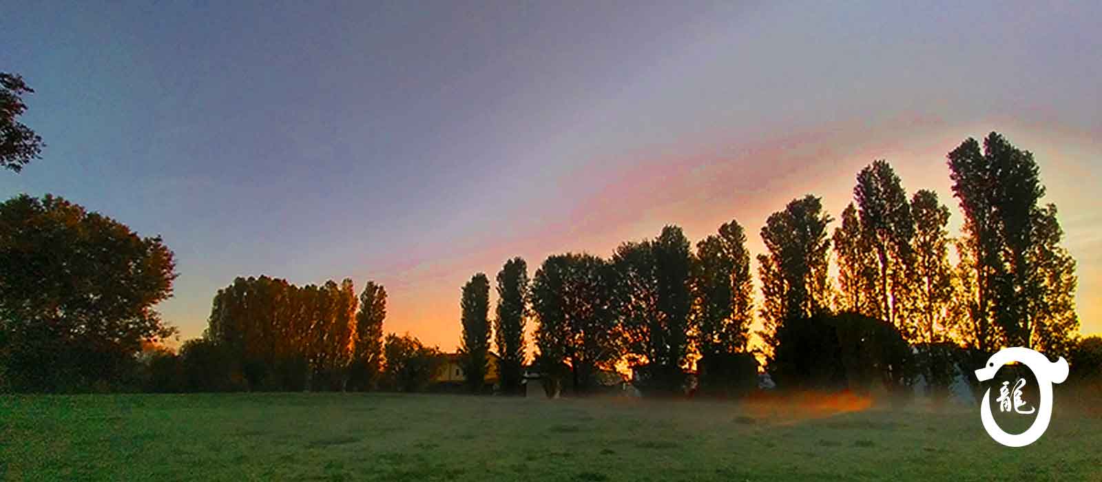 Parco Fornace - Noventa Padovana, Padova, e a Borbiago di Mira, Mestre Venezia, corsi di Tai Chi, Baji e QiGong (ginnastica del benessere).