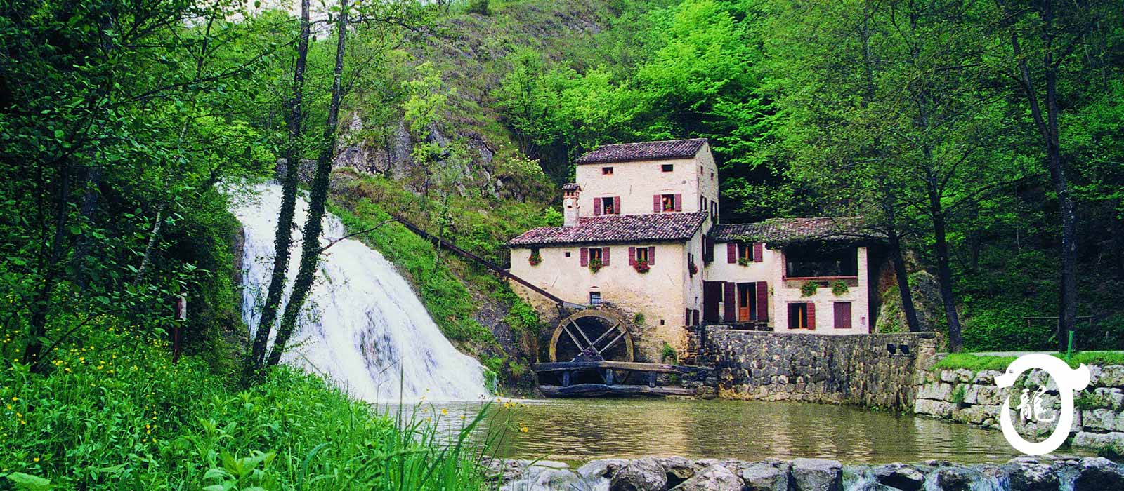 A Noventa Padovana, Padova, e a Borbiago di Mira, Mestre Venezia, corsi di Tai Chi, Baji e QiGong (ginnastica del benessere).