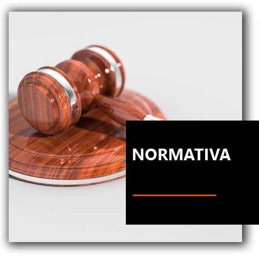 Diritto - A.S.D. Drago Azzurro